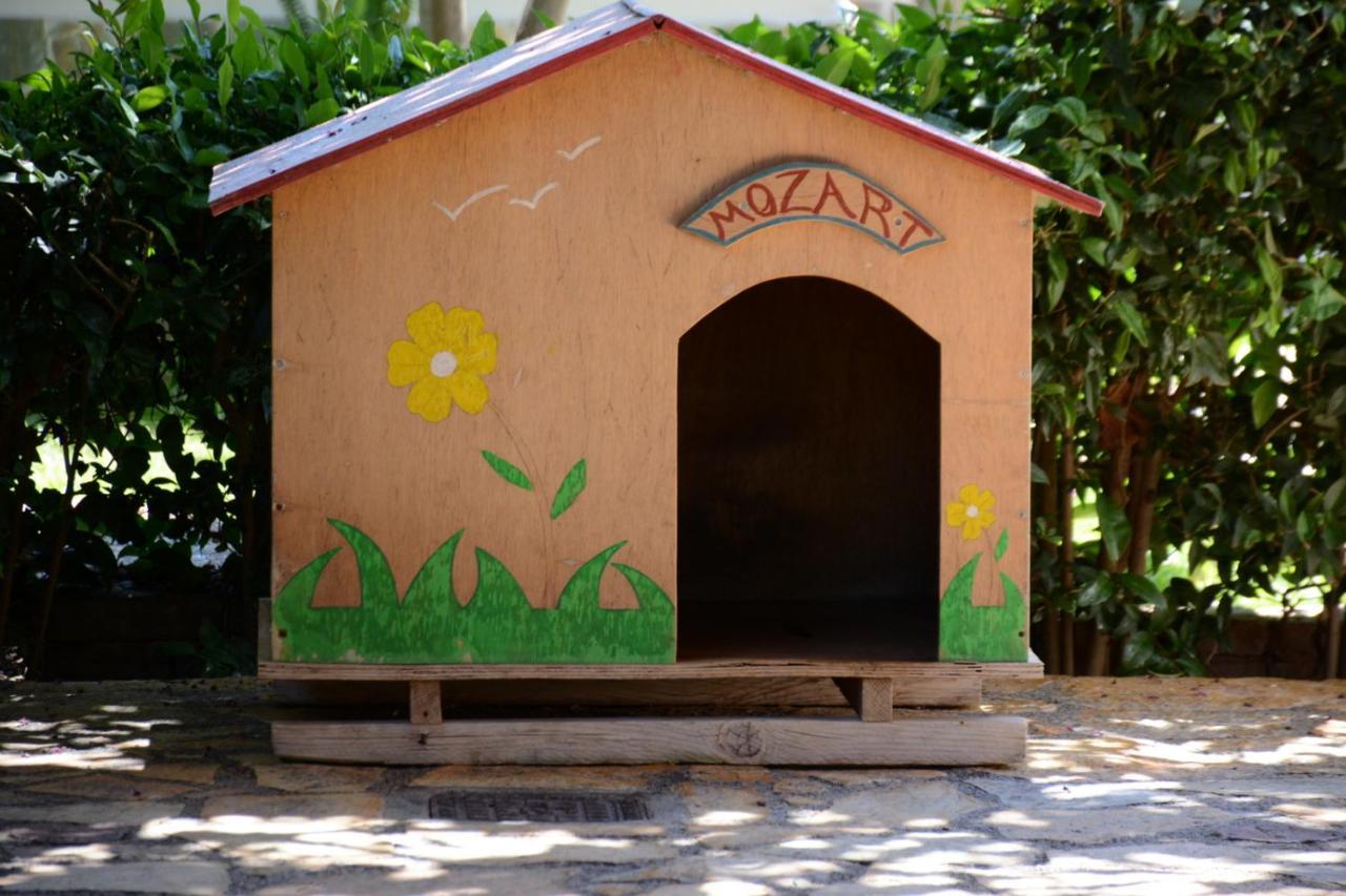 Mozart House Studio Amarynthos Ngoại thất bức ảnh