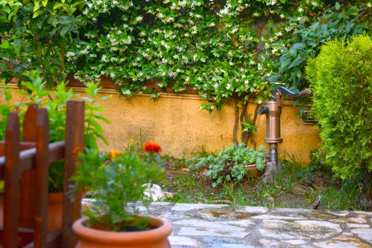 Mozart House Studio Amarynthos Ngoại thất bức ảnh