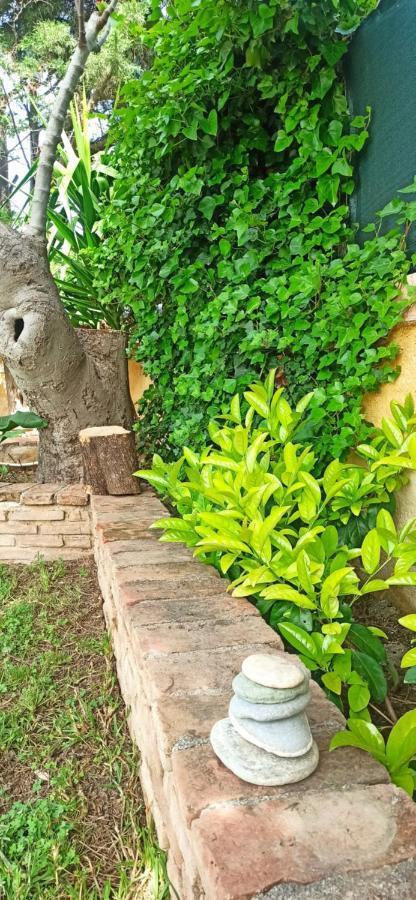 Mozart House Studio Amarynthos Ngoại thất bức ảnh