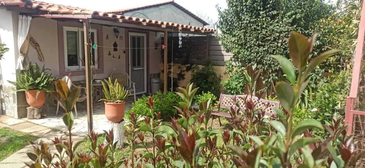 Mozart House Studio Amarynthos Ngoại thất bức ảnh